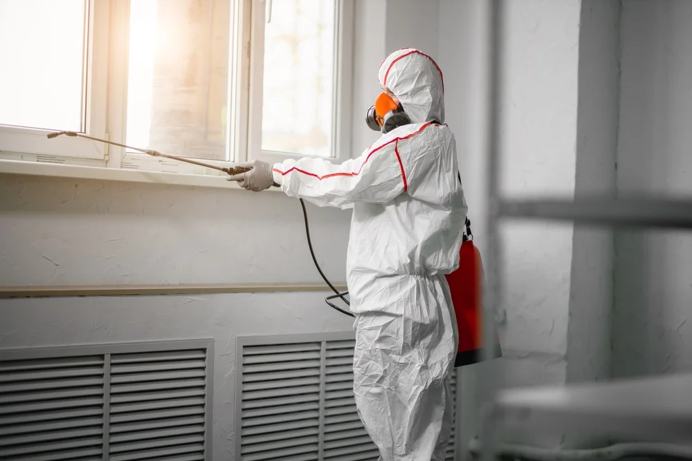 Professional mold remediation services in Haskins, OH